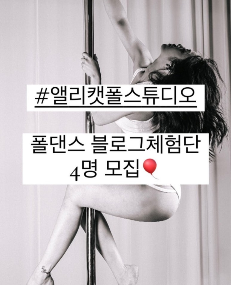 앨리캣폴스튜디오 이미지
