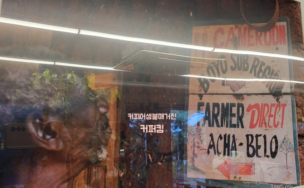 (주)샤인위드컴페니언 이미지