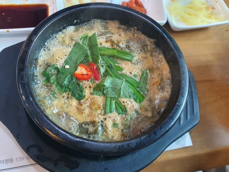 기통찬장어 이미지