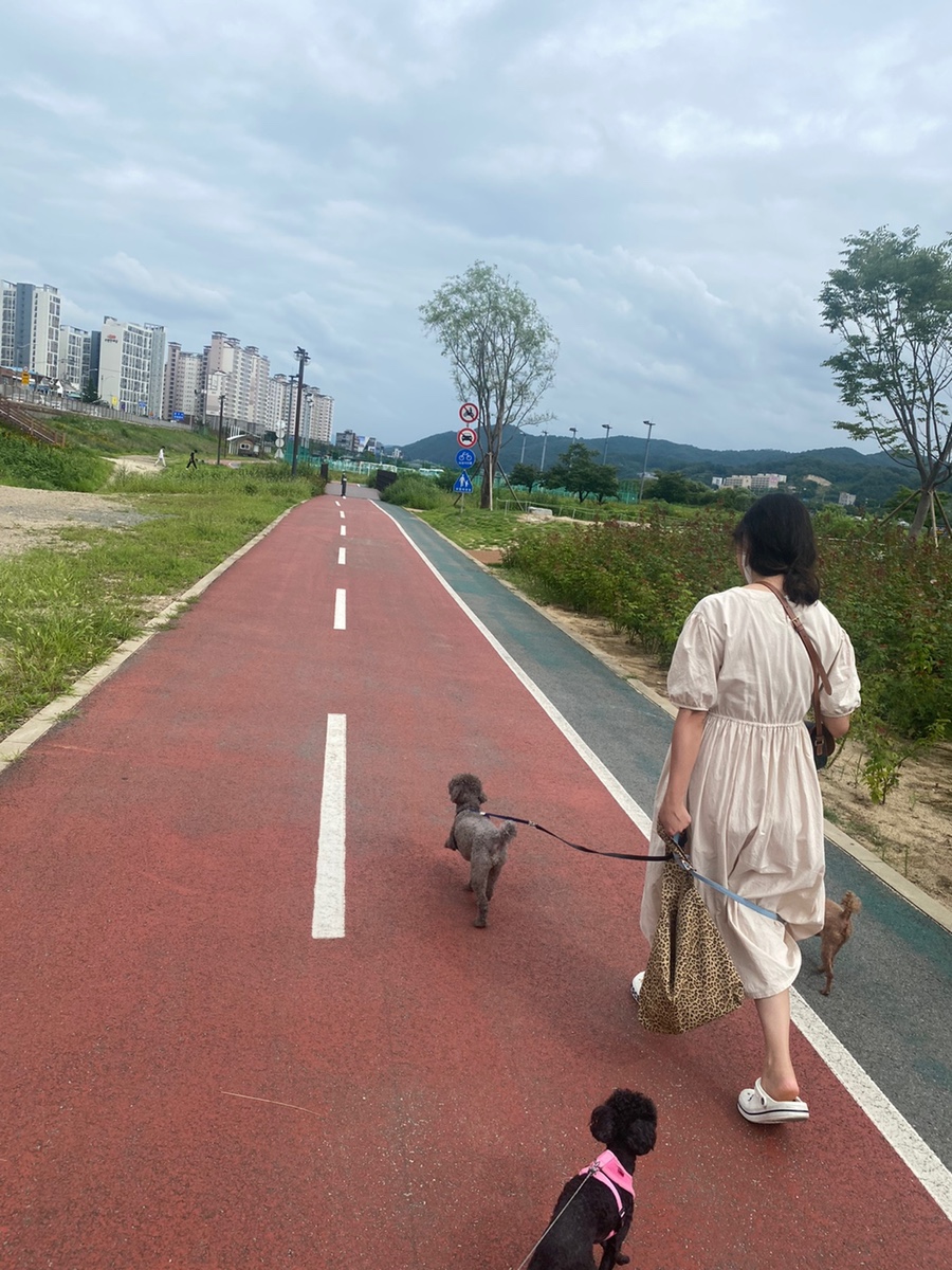 고봉회수산 이미지