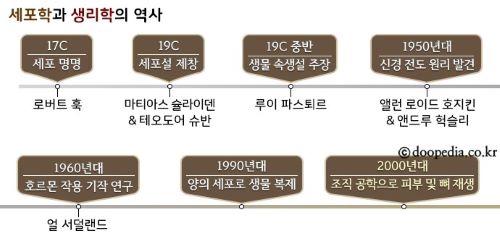 리틀루이 이미지