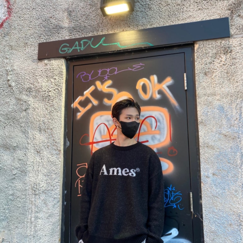 베어문 이미지