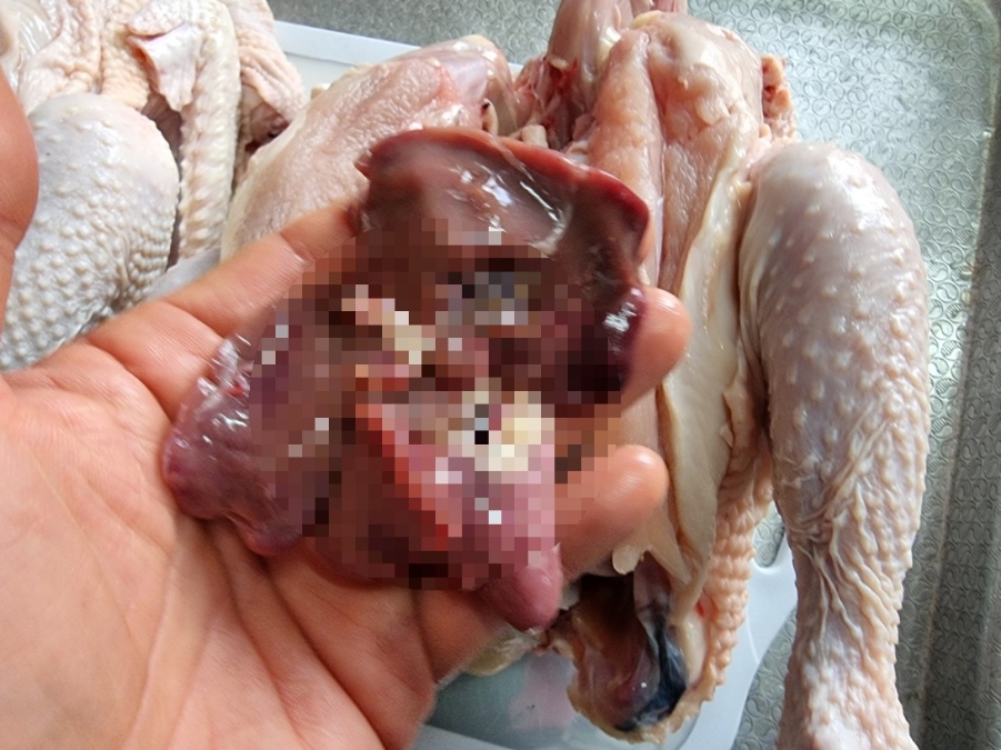 싱싱닭집 이미지