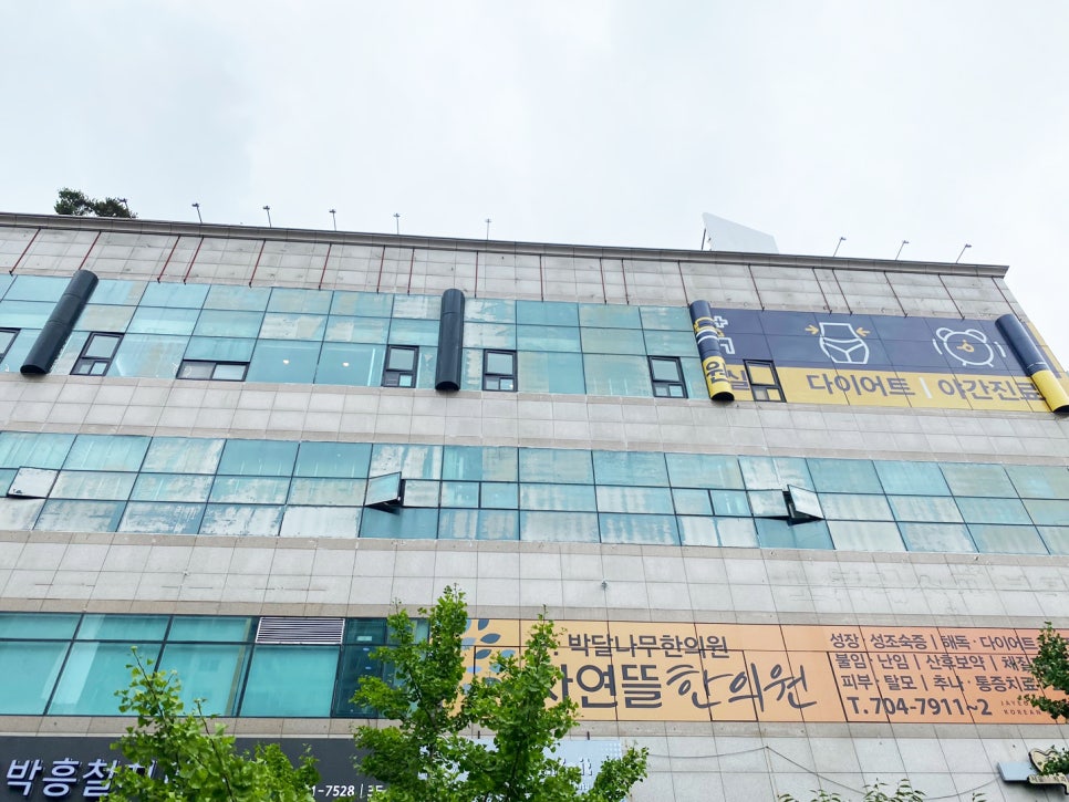 365자연안에한의원 이미지