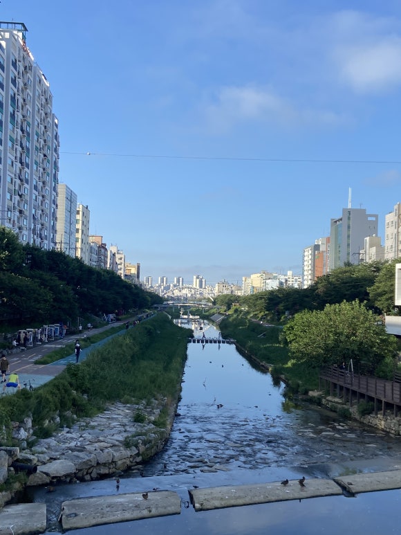 돼지게티 연신내점 이미지