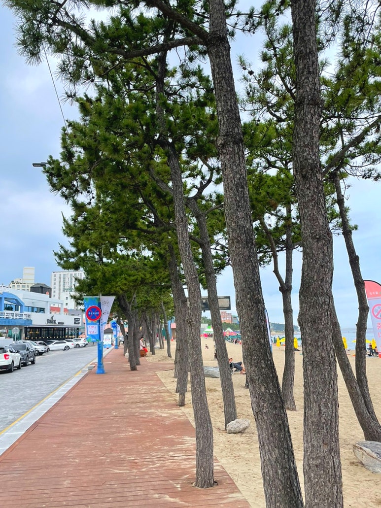 솔밭수상레저 이미지