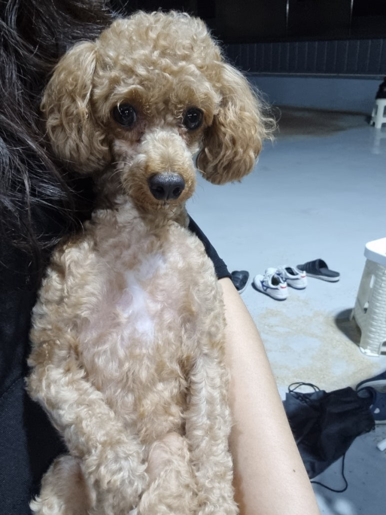 대곡풋살파크 이미지