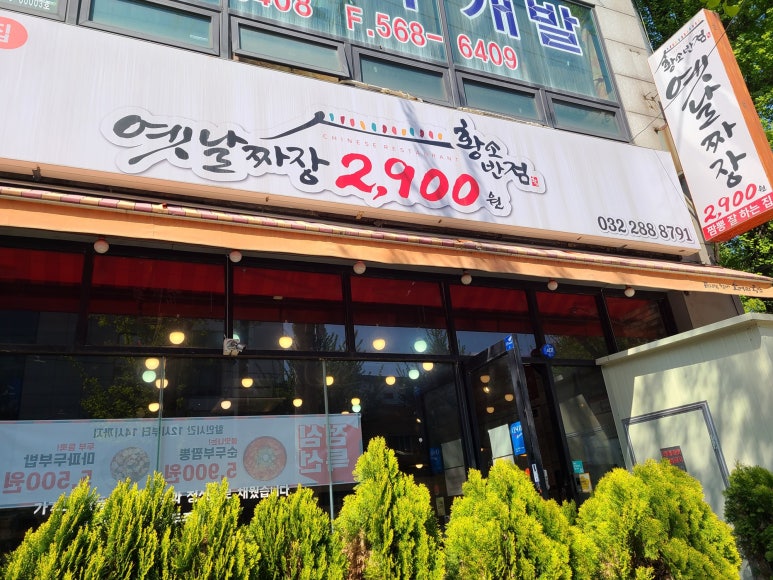황소반점 이미지