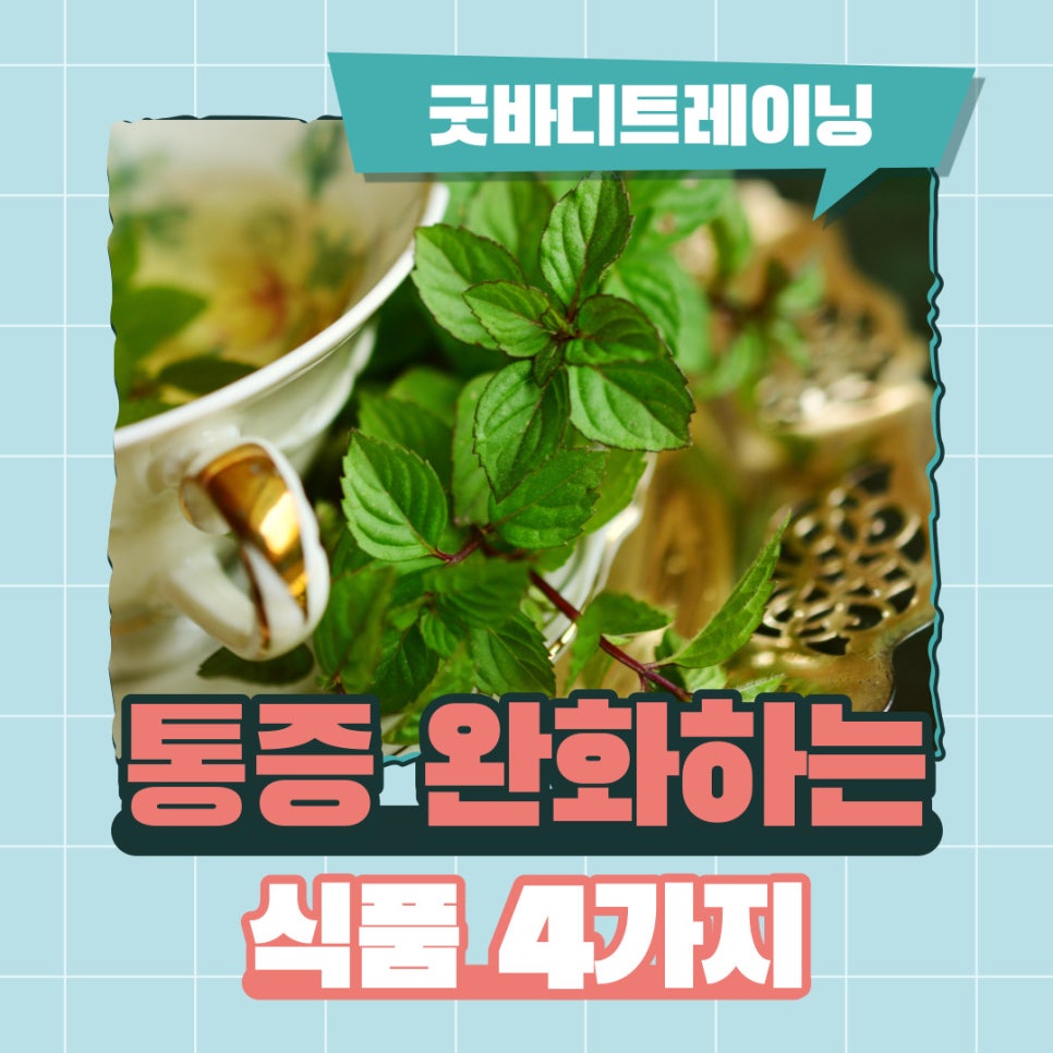 굿바디트레이닝 이미지