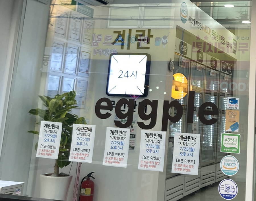 에그플 이미지