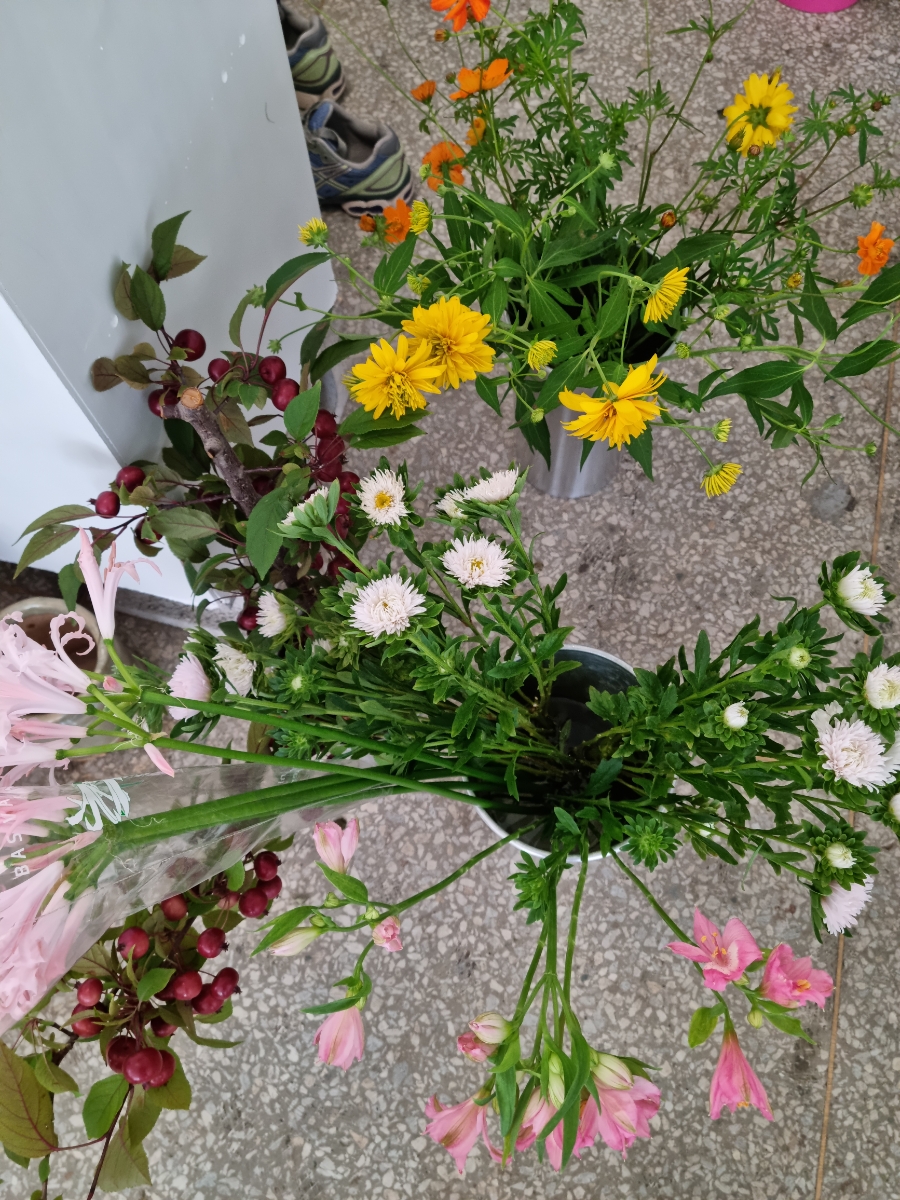 스튜디오아록 이미지