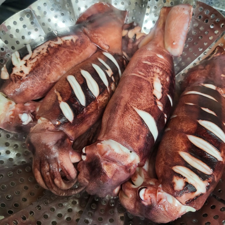 장항수산 이미지