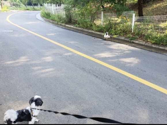 (주)이지케어 이미지