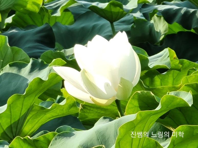 정화수도원 이미지