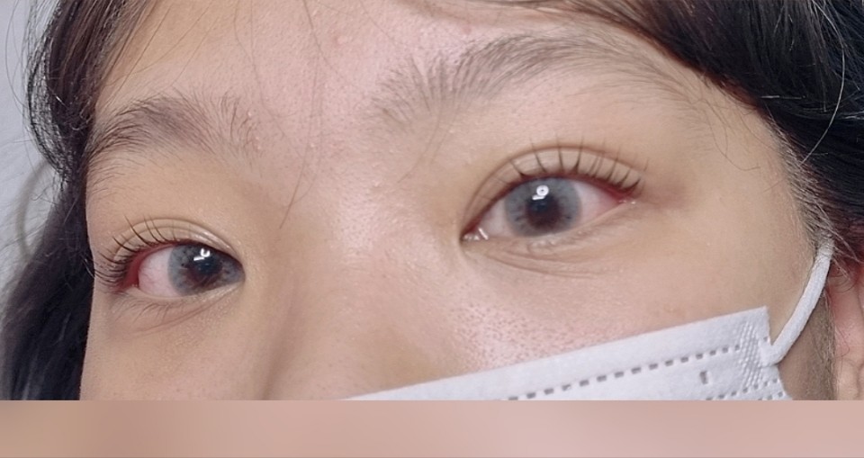 캣츠래쉬 이미지