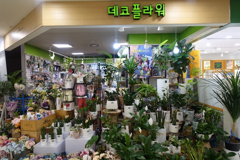 메이플라워데코 이미지