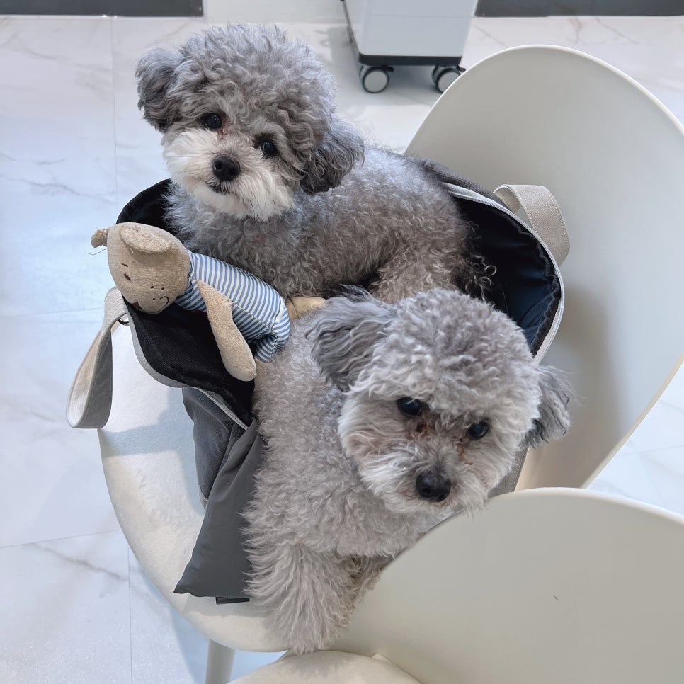 순수네일 이미지