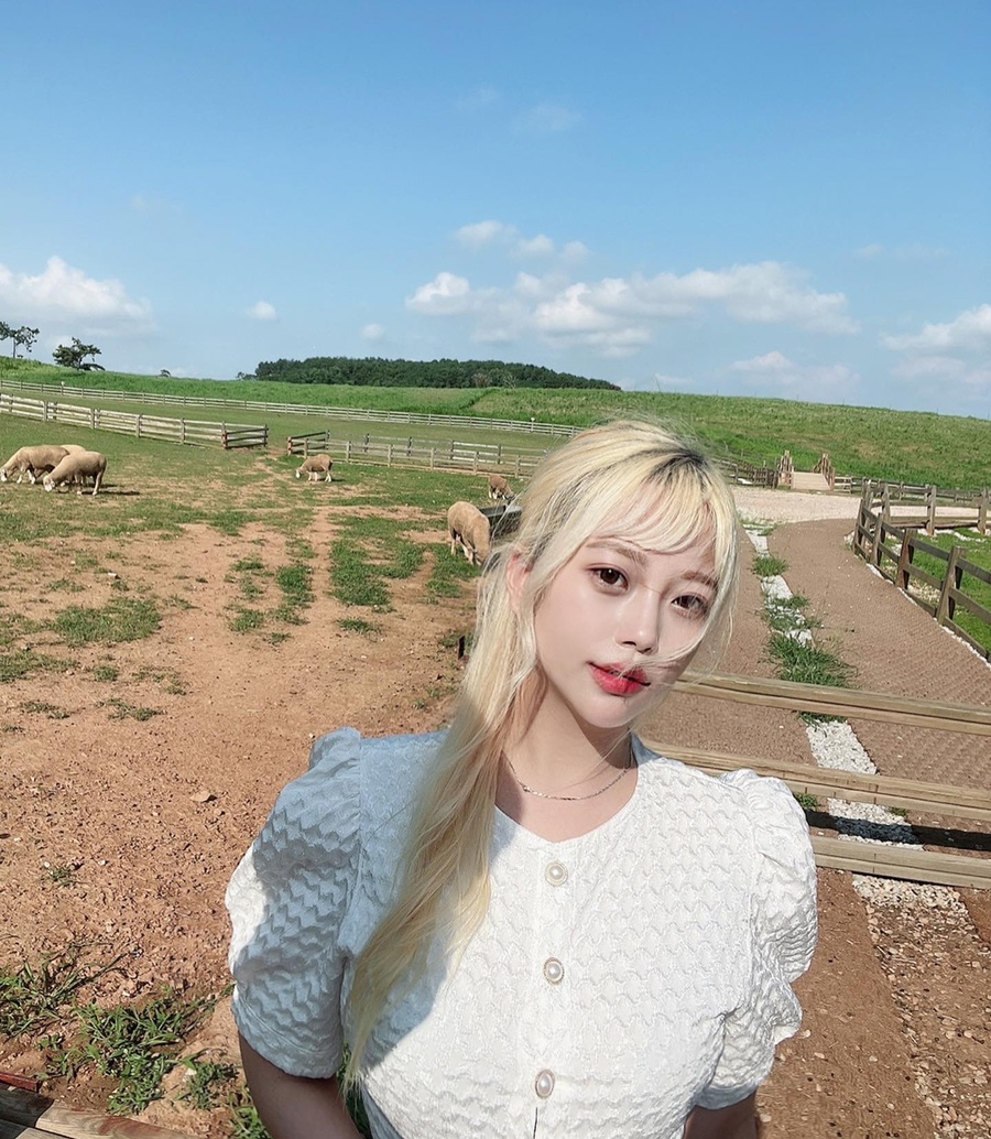 수현농원 이미지
