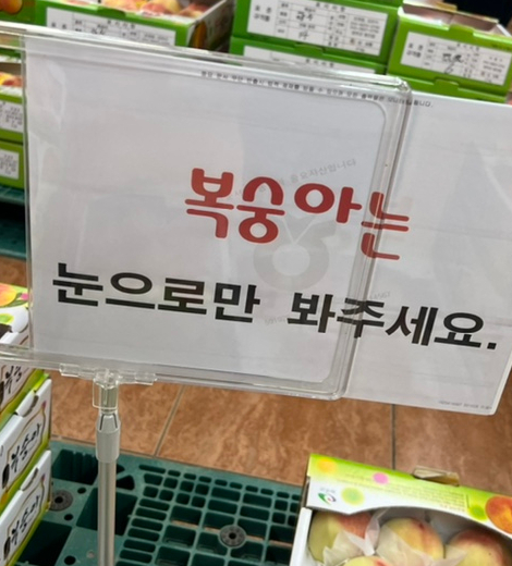 용진농업협동조합 이미지