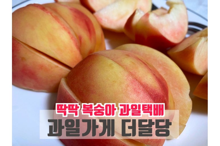 더달당 이미지