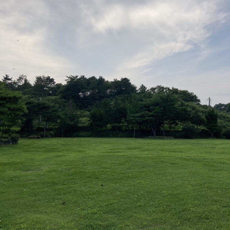 송산카페 이미지