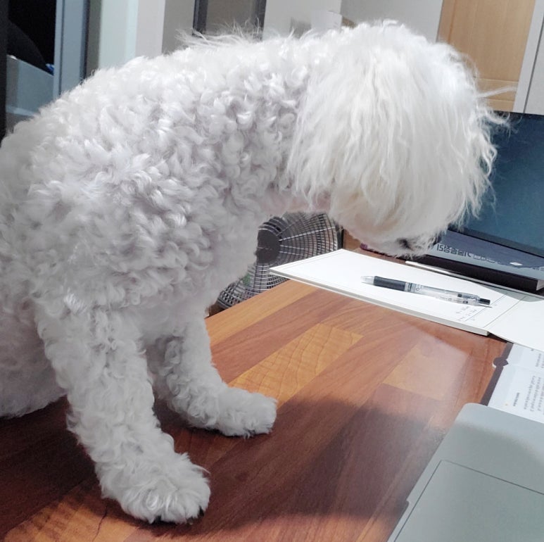 김대환형사법 이미지
