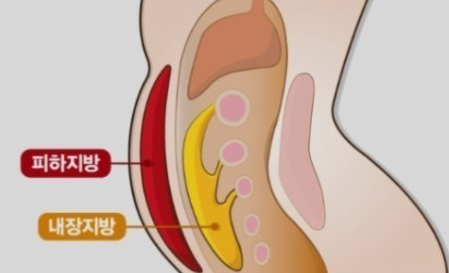 춘천내장 이미지