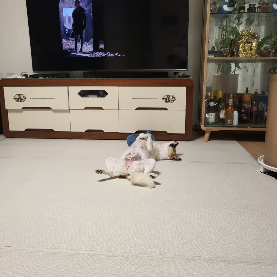행복반점 이미지