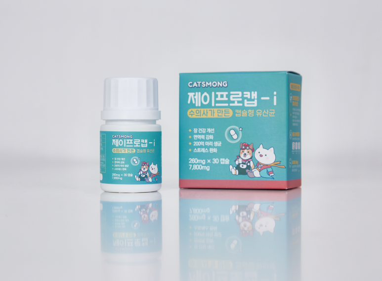 도담디자인기획 이미지