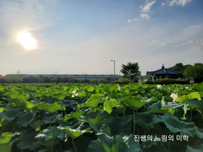 정화수도원 이미지