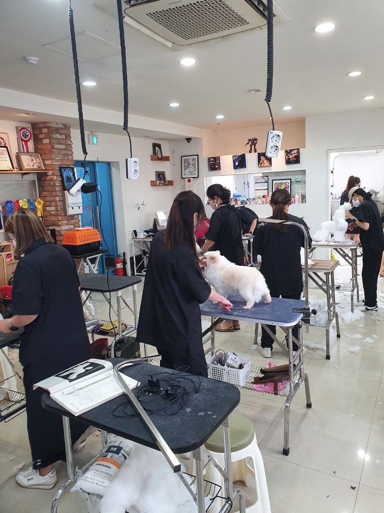 김성균애견미용학원 이미지