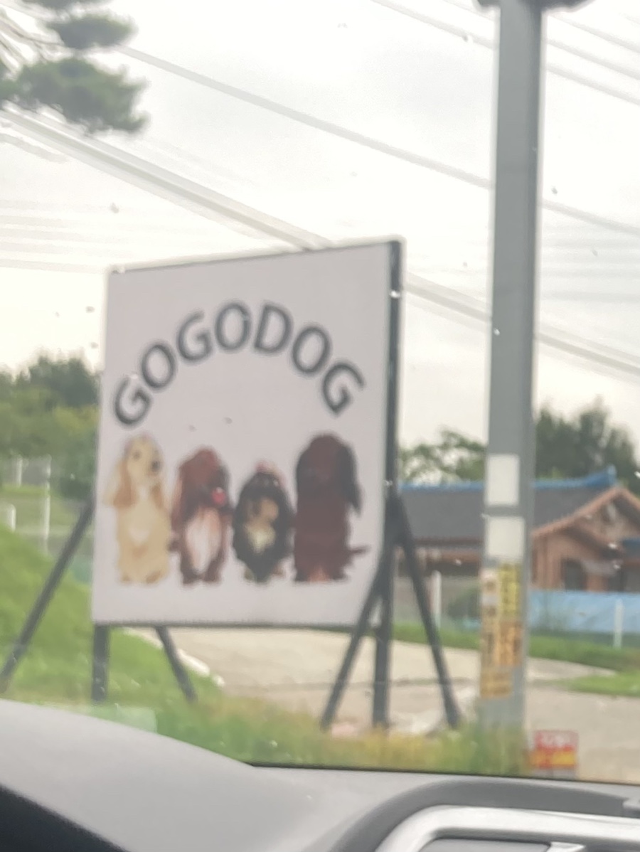 고고독 이미지