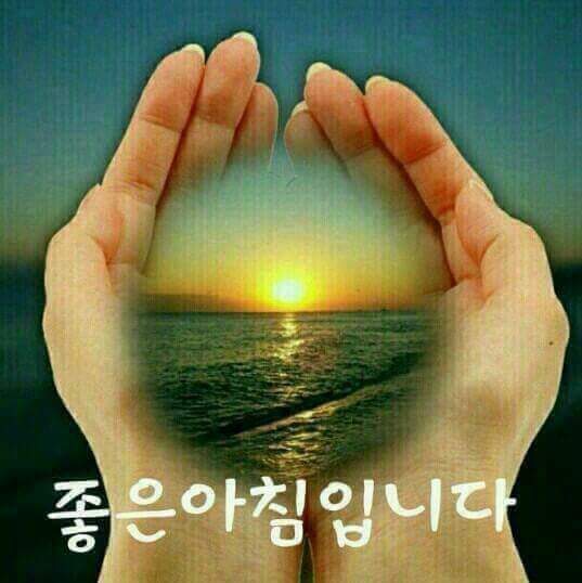숲속에서 이미지