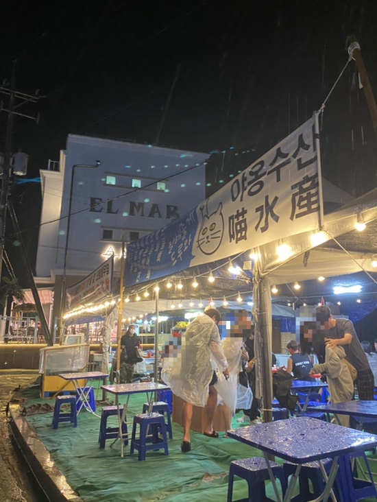 야옹수산 이미지