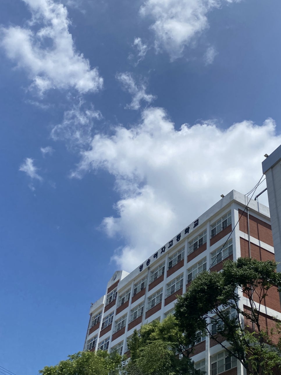 몰라당구장 이미지