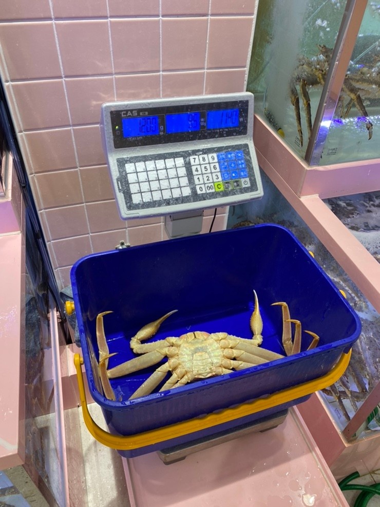헬로크랩 이미지