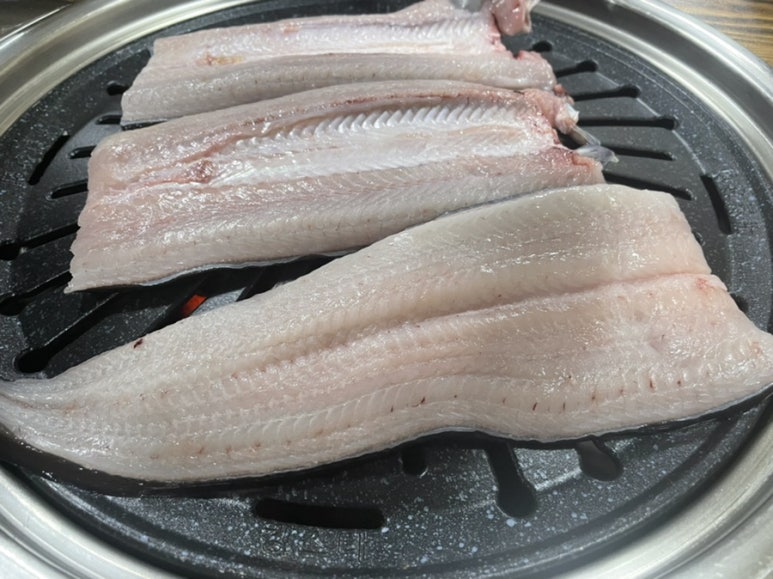 돌곶이민물장어 이미지