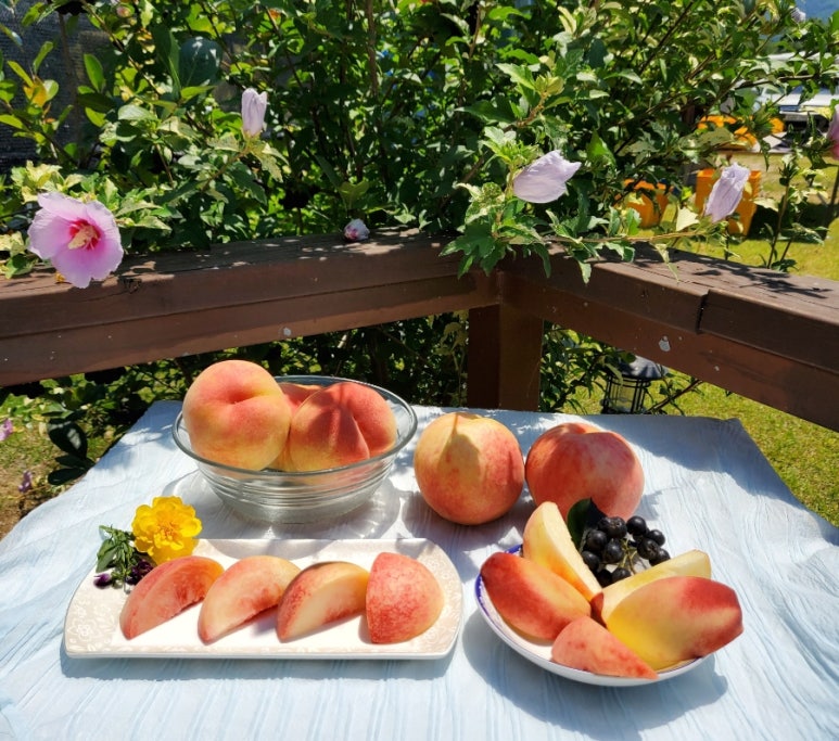 말랑단단 이미지