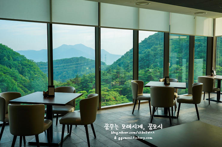 포레스트치킨 이미지