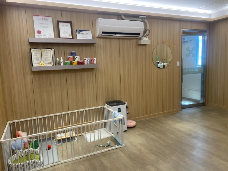 벨라제이 속눈썹 이미지