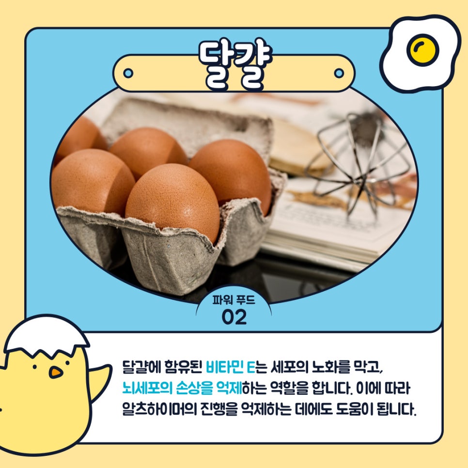 두뇌스포츠센터 이미지
