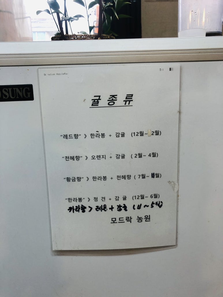 모드락농원 이미지