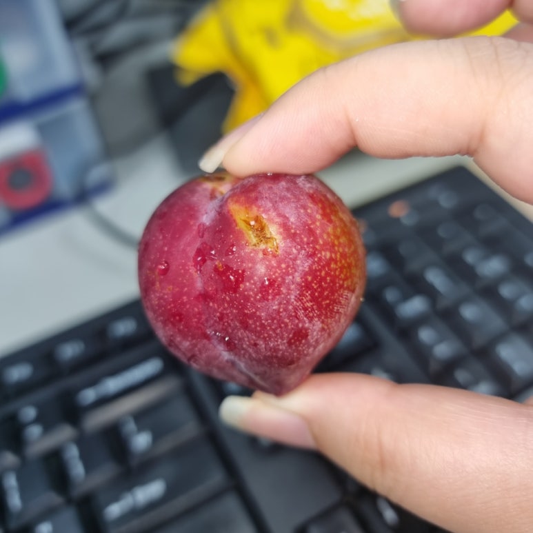 커피베이방학 이미지