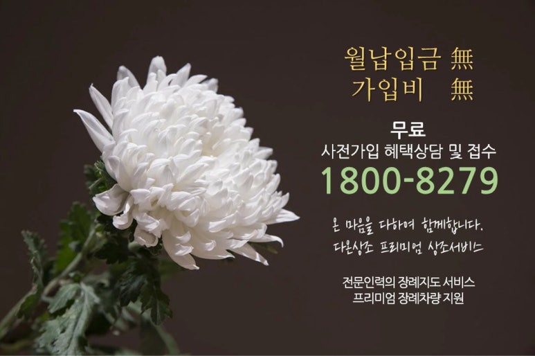 그리운상조 이미지