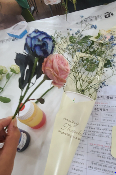 놀차 이미지