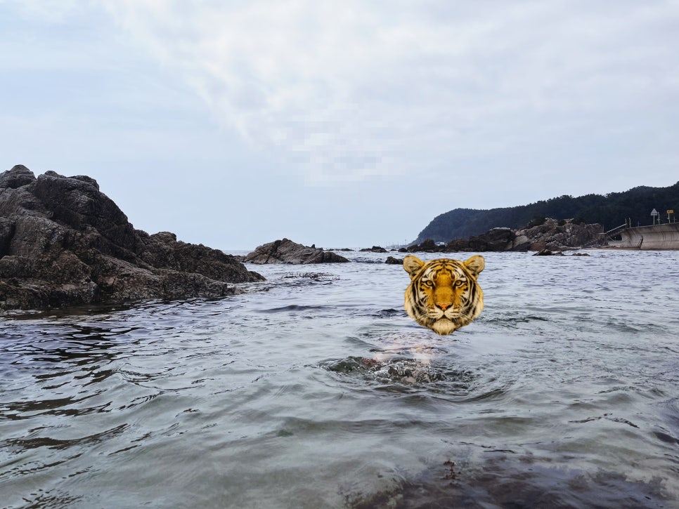 남울진농협하나로마트 이미지