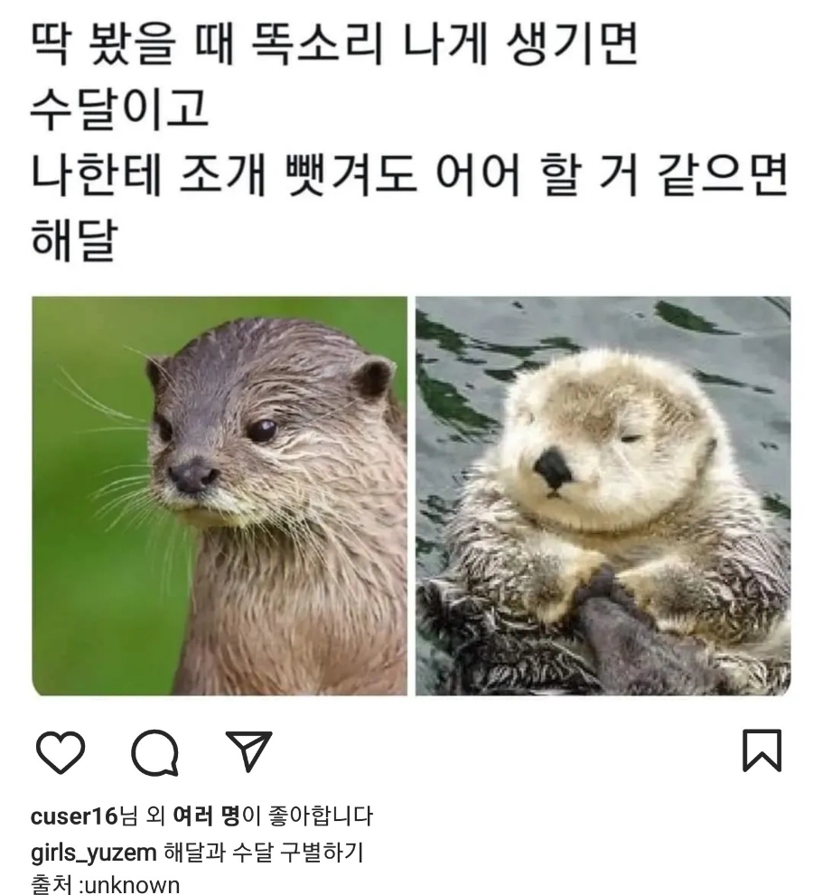 청년만두 이미지