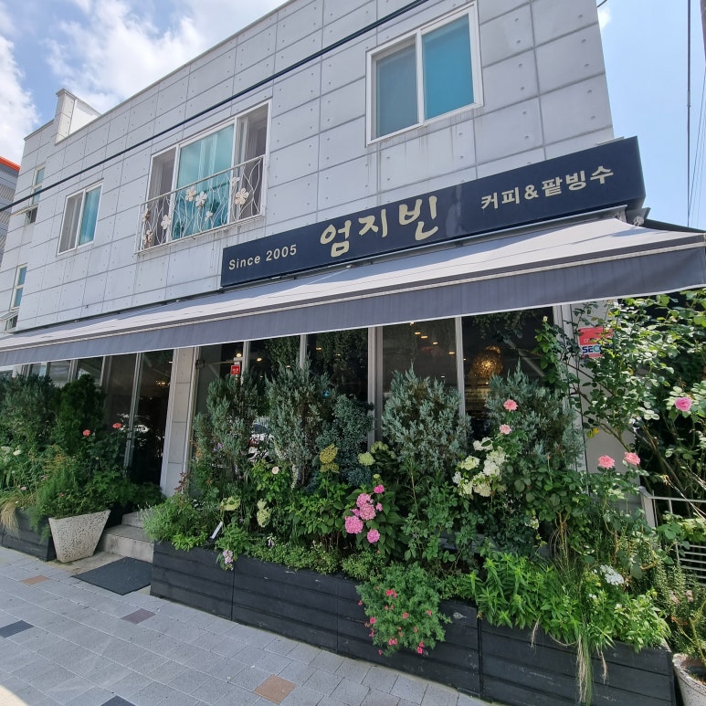 엄지빈 이미지