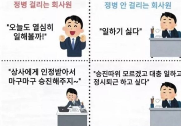 보타니카 이미지
