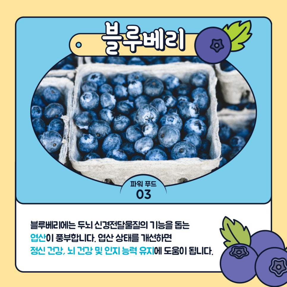 두뇌스포츠센터 이미지